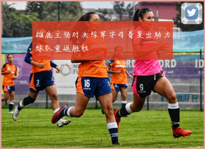 雄鹿主场对决绿军字母哥复出助力球队重返胜轨