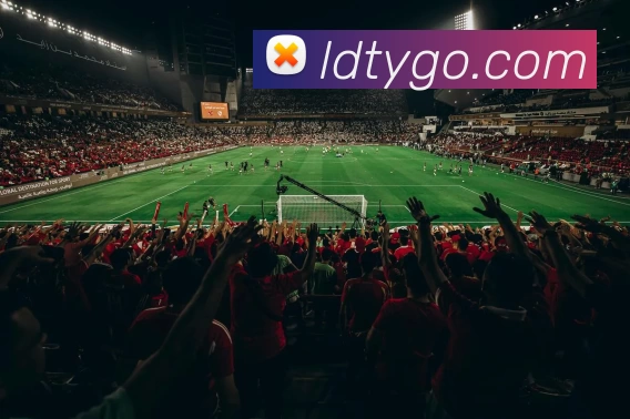 乐动体育APP 封面图